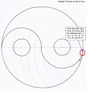 this is the image of a yin yang with a mandala grid on one side