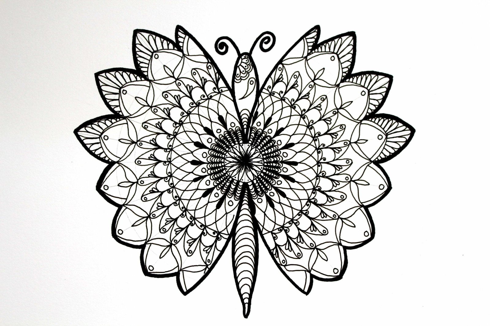 Mandala art for beginners  Butterfly mandala on black paper