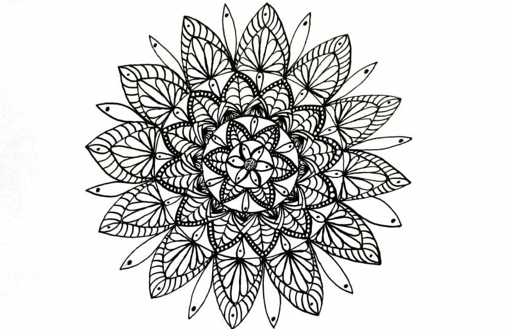 this image shows a mandala designed with petals and tear drops