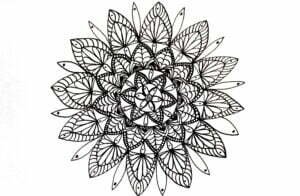 this is the picture of a mandala designed with petals and tear drops 