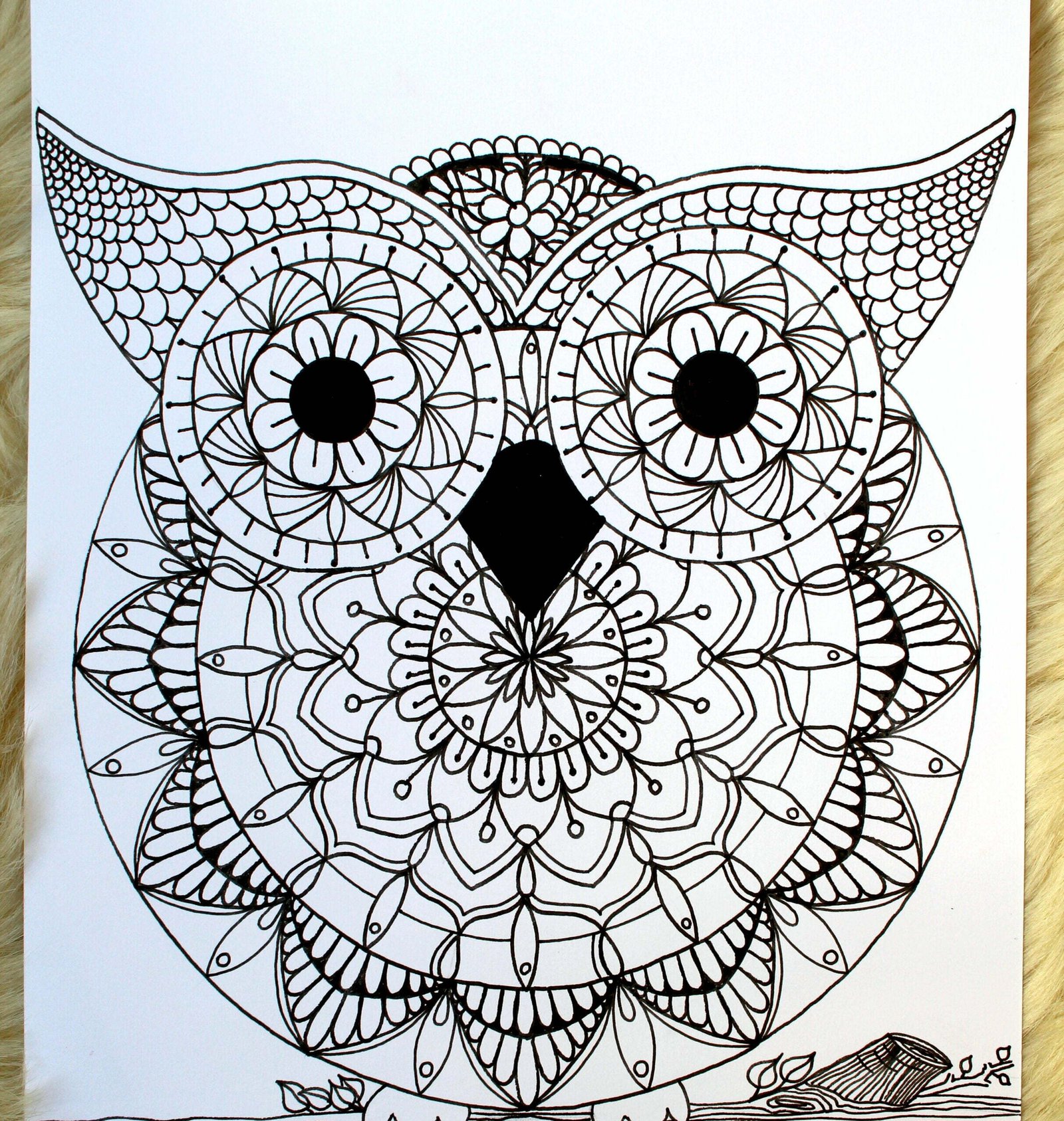 Barn Owl Sketch by TopazVulture on DeviantArt