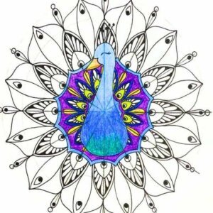 this is an image of a peacock mandala half colored
