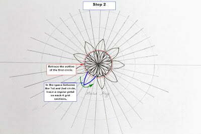 this is the image of a flower mandala with description boxes