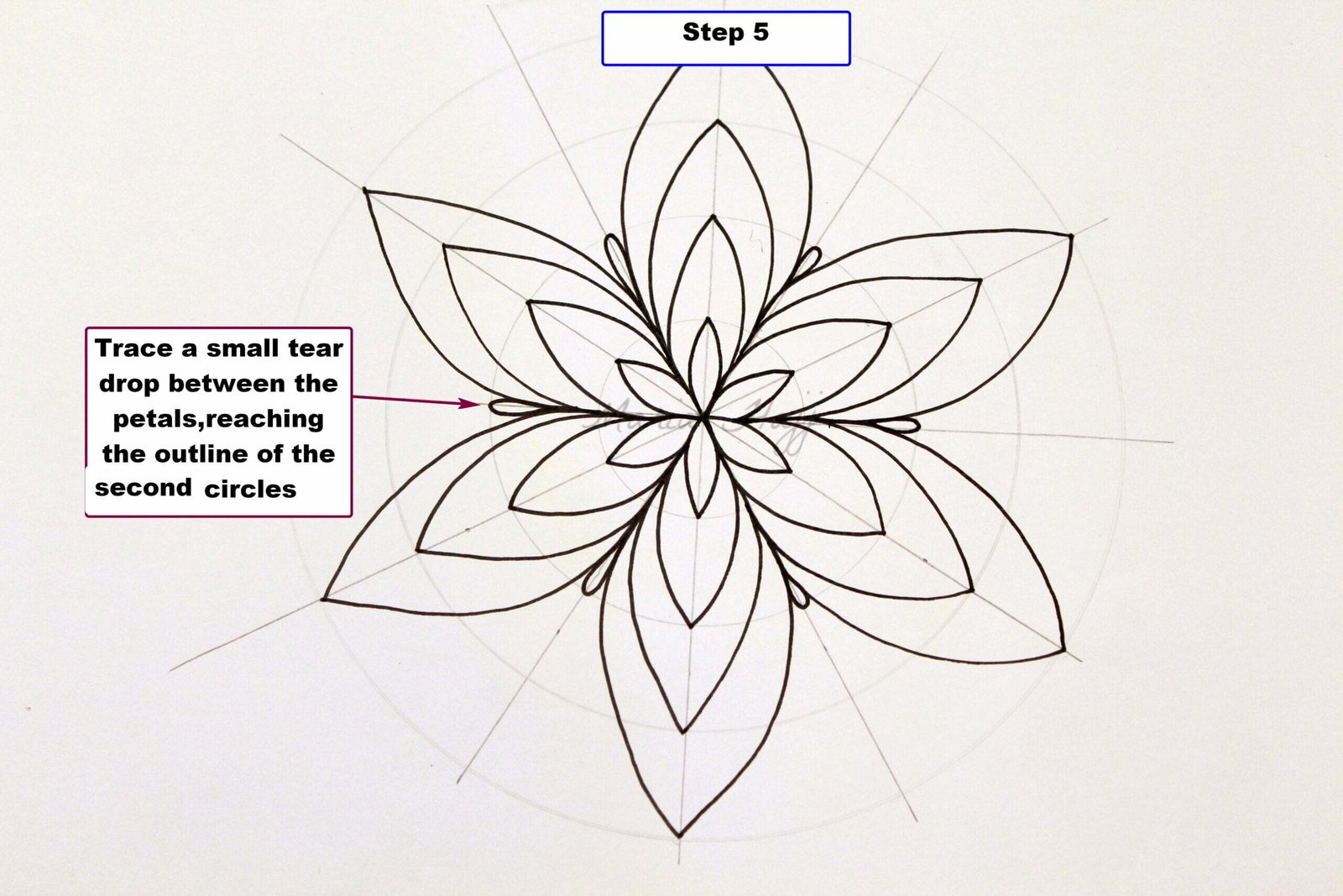 How to draw a basic flower mandala