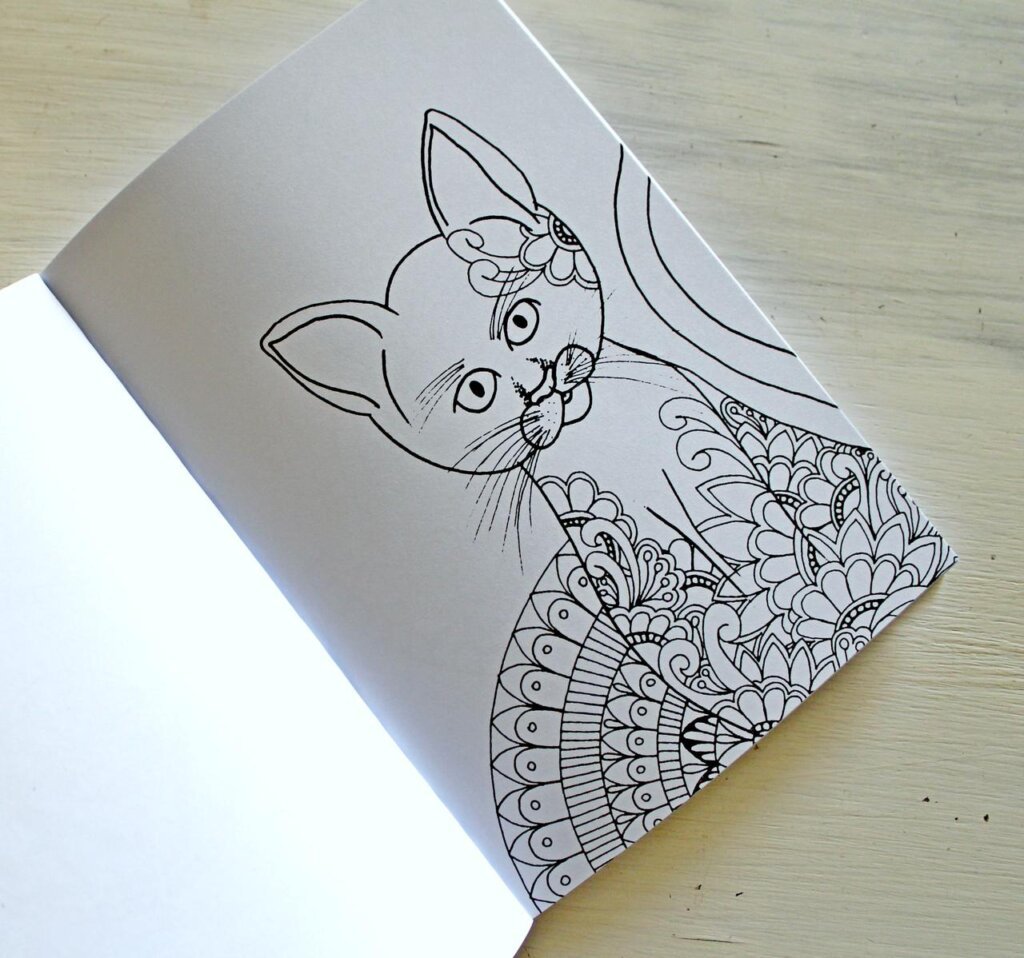 an open book with a picture of a cat to color