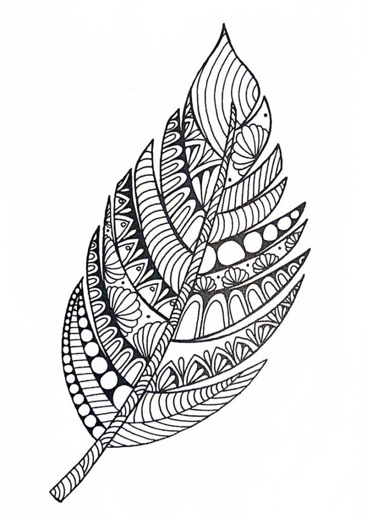 the drawing of a mandala feather