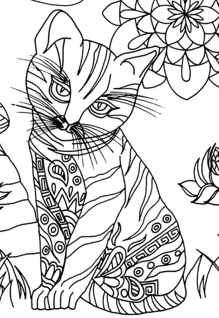 a cat mandala drawing to color