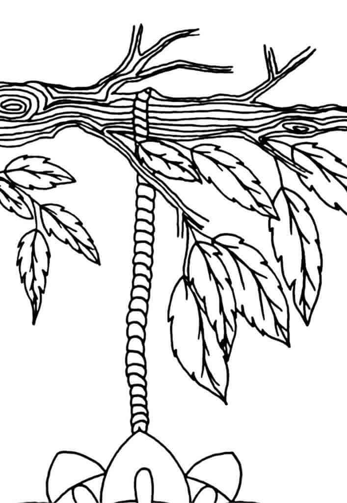 tree branch drawing