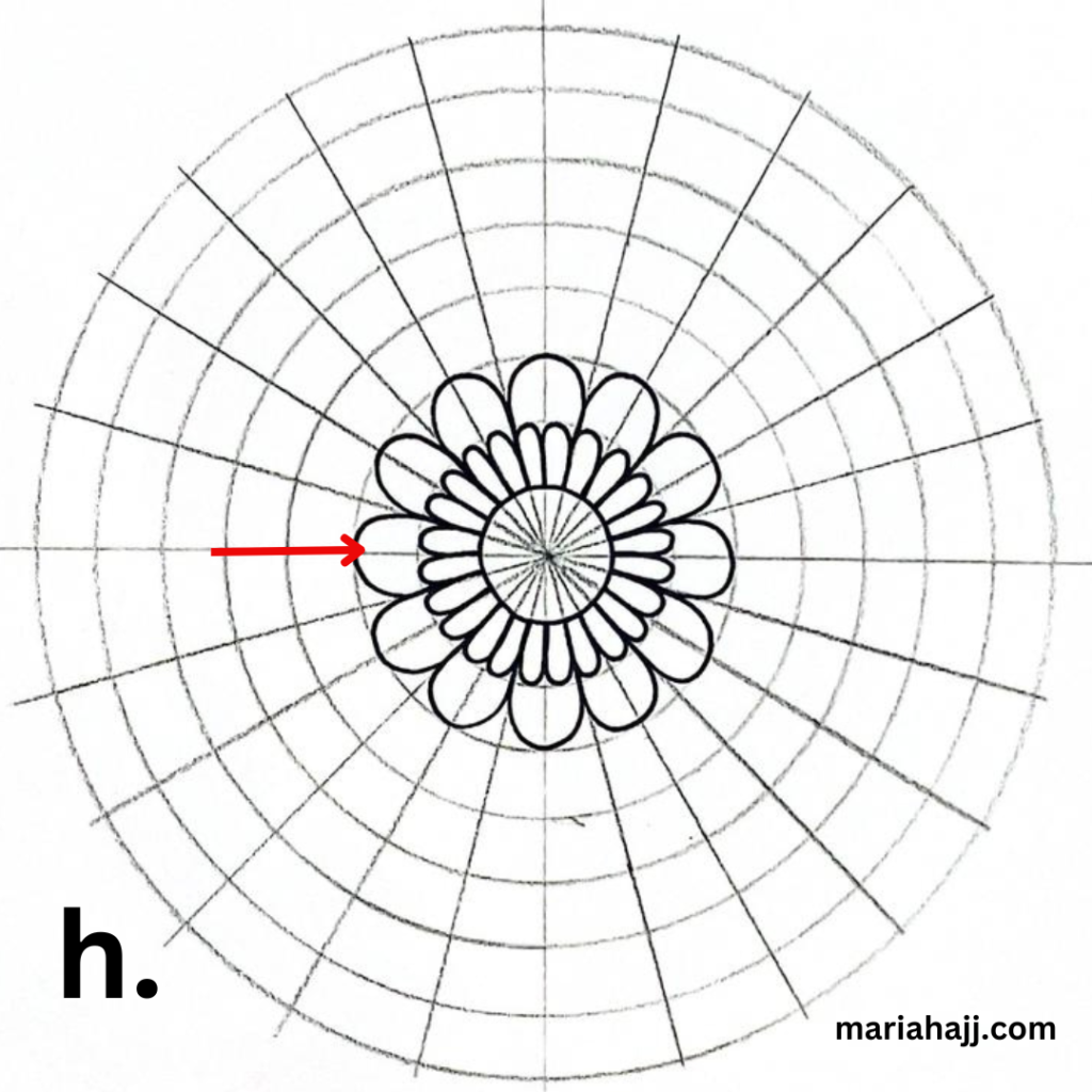 a mandala grid with petals drawn on it and a red arrow