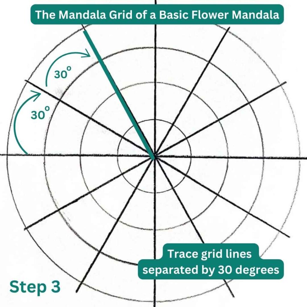 this is the image of a full mandala grid that has four circles and twelve grid lines, each separated by 30 degrees, and the image has two text boxes, on one "the mandala grid of a basic flower mandala" and the second "trace grid line separated by 30 degrees"
