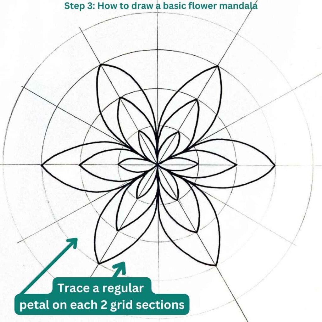 This is the image of a mandala grid on which is drawn a mandala flower, and below on the left we see drawing instructions