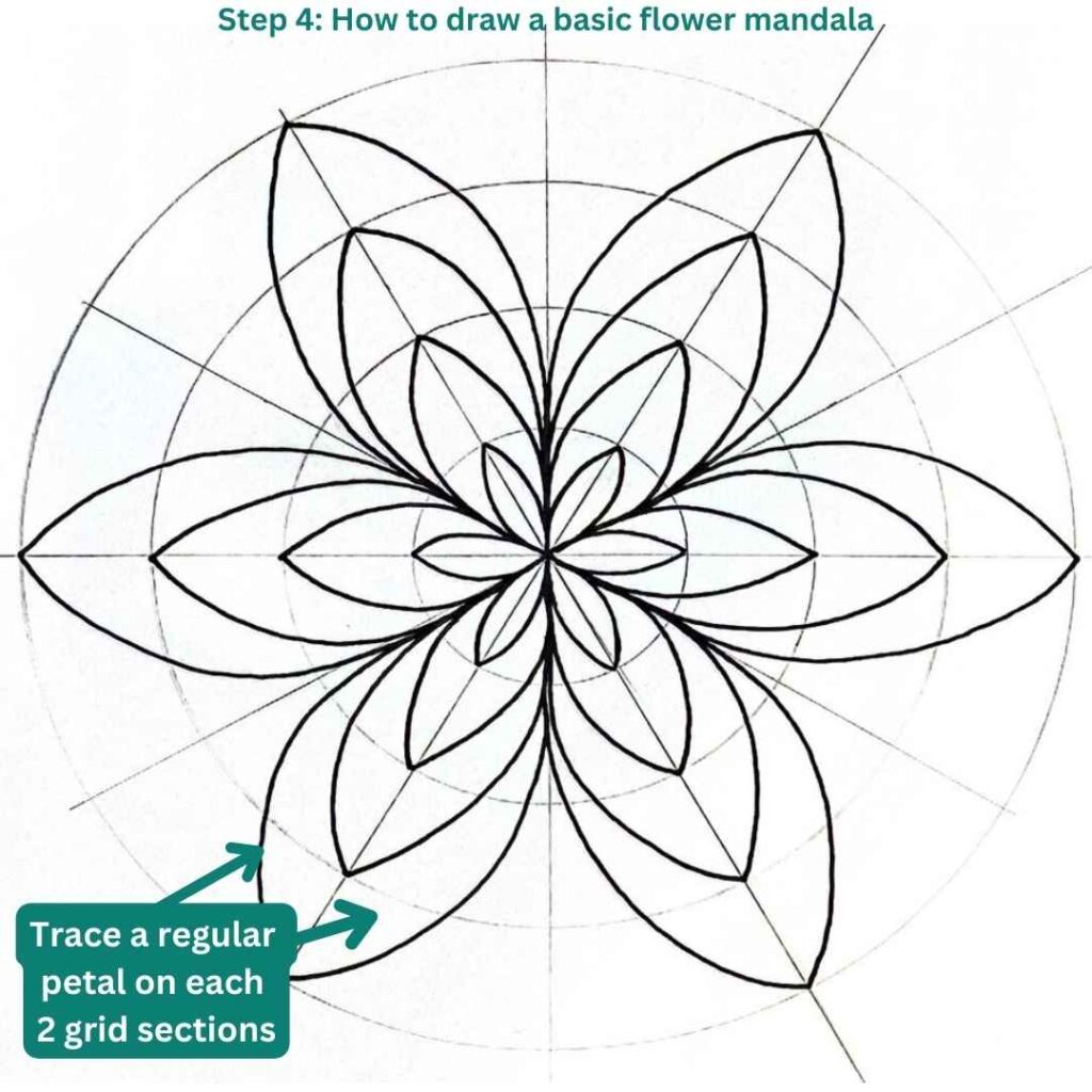This is the image of a mandala grid on which is drawn a mandala flower, and below on the left we see drawing instructions