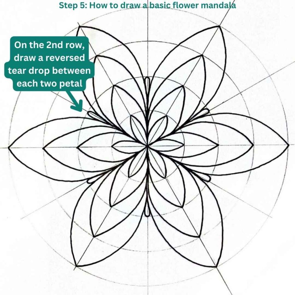 This is the image of a mandala grid on which is drawn a mandala flower, and below on the left we see drawing instructions