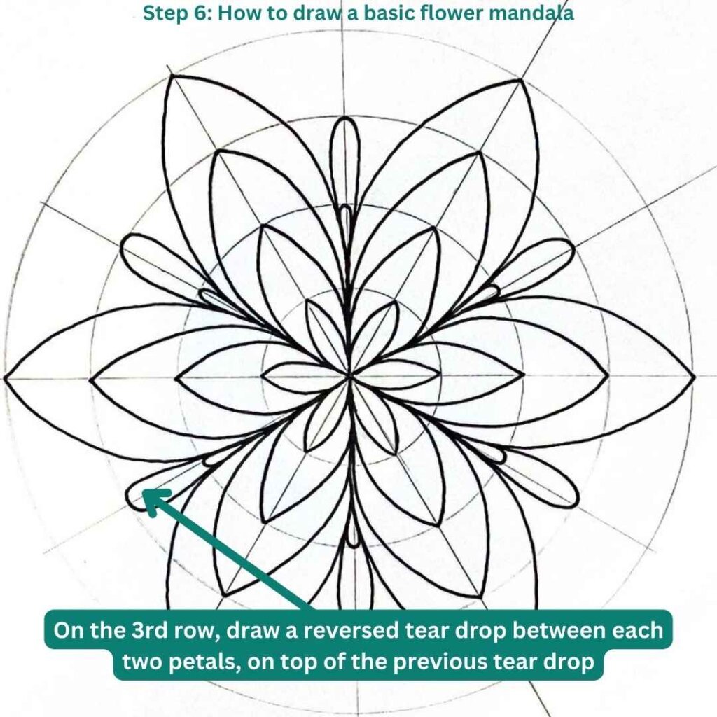 This is the image of a mandala grid on which is drawn a mandala flower, and below on the left we see drawing instructions