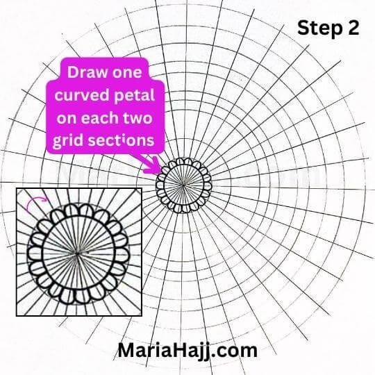 this is the image of a mandala grid 