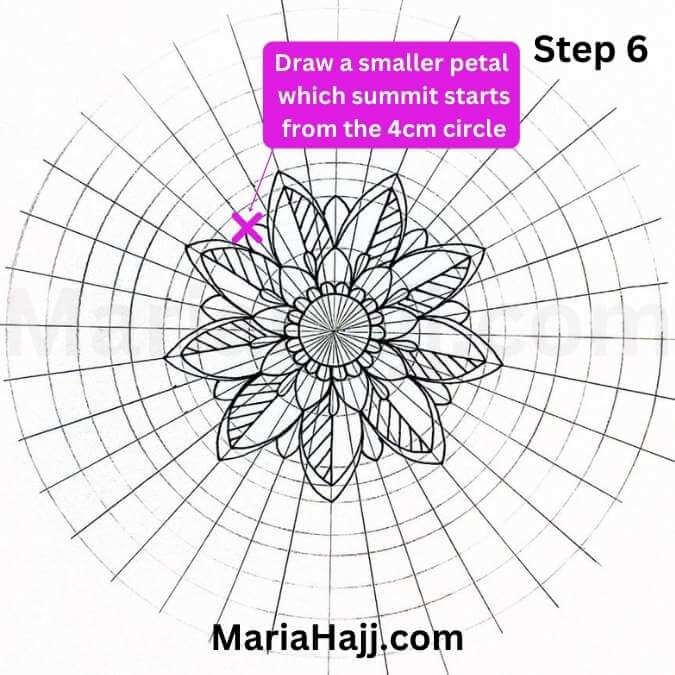 this is the image of a mandala grid, with a flower mandala in the center, and an instruction box