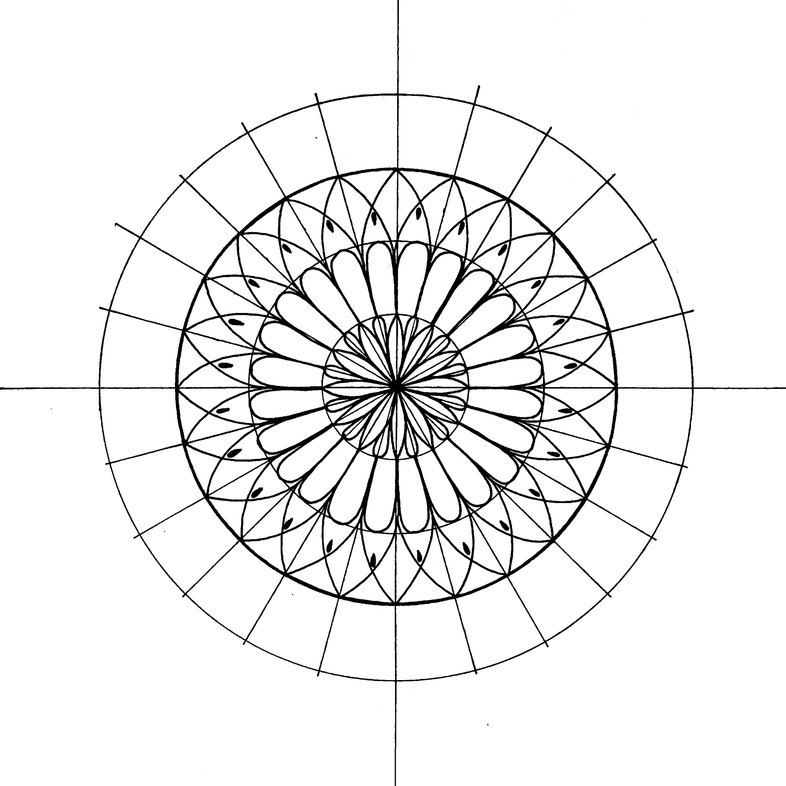 Mandala design featuring four symmetrical layers of petals, with added black teardrop details, drawn on a radial grid.