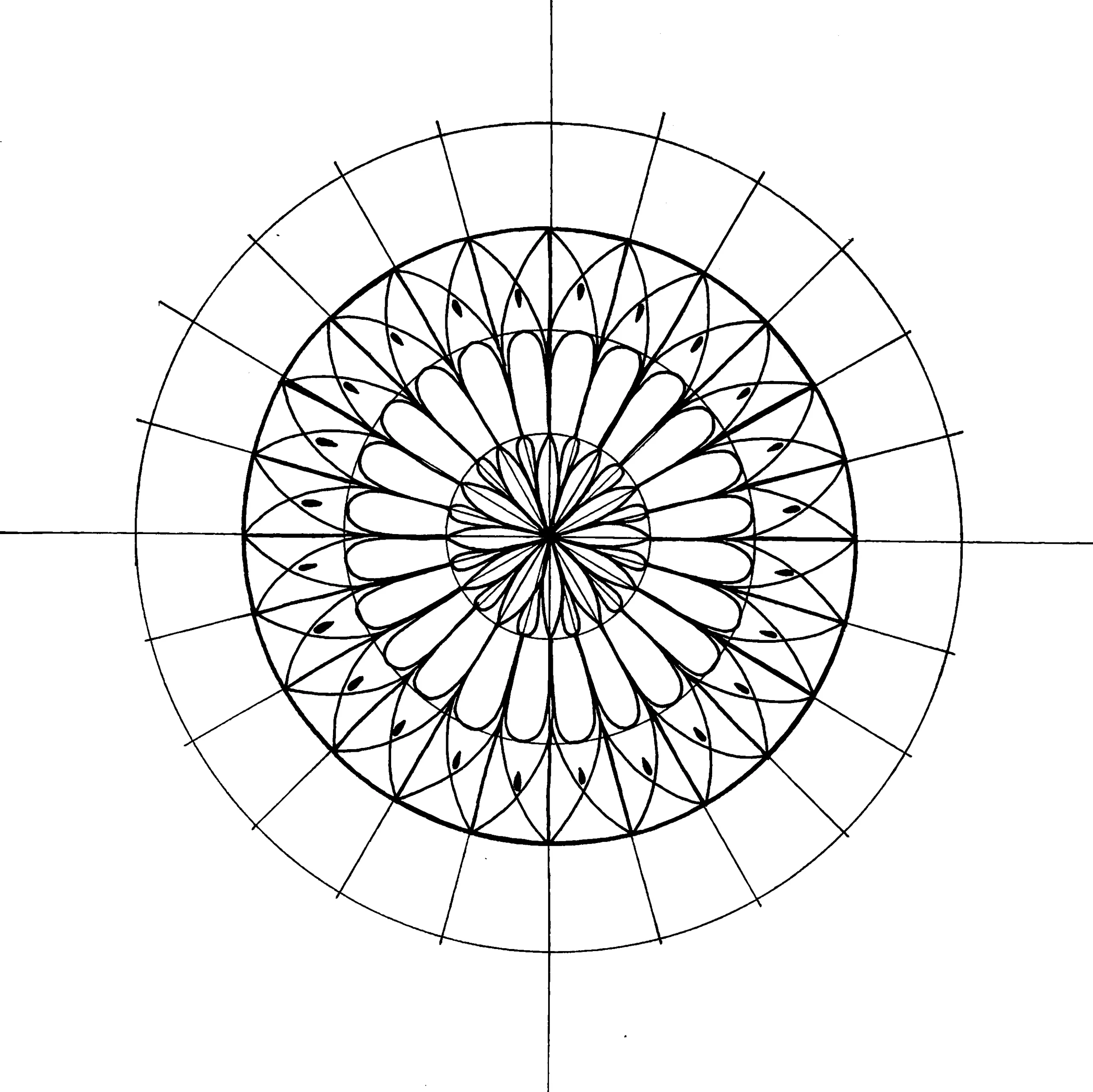 Detailed mandala drawing with layered petal shapes and teardrop accents, built on a circular grid with precise radial symmetry.