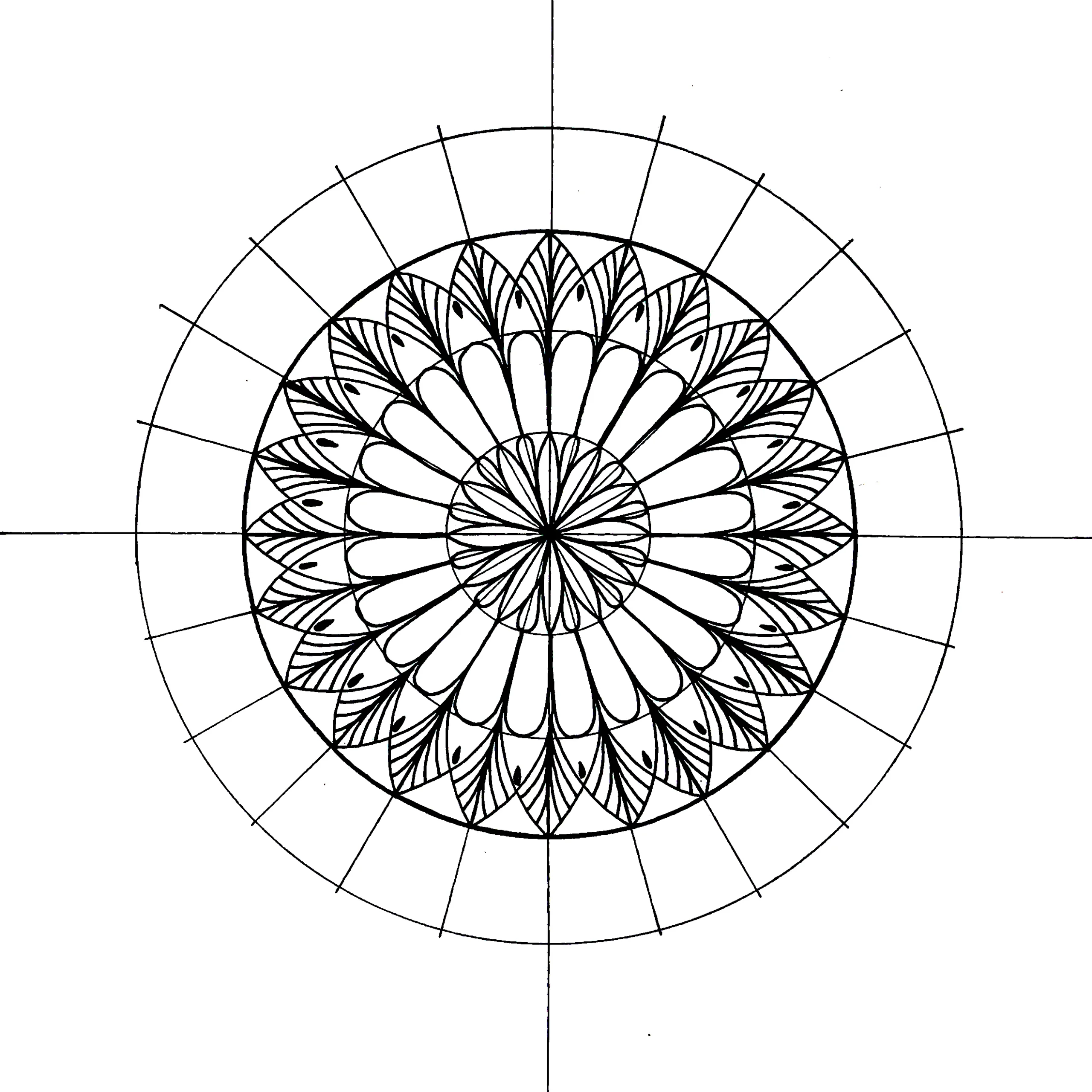 Intricate black and white mandala drawing with multiple detailed petal layers and leaf-like patterns, drawn on a geometric grid.