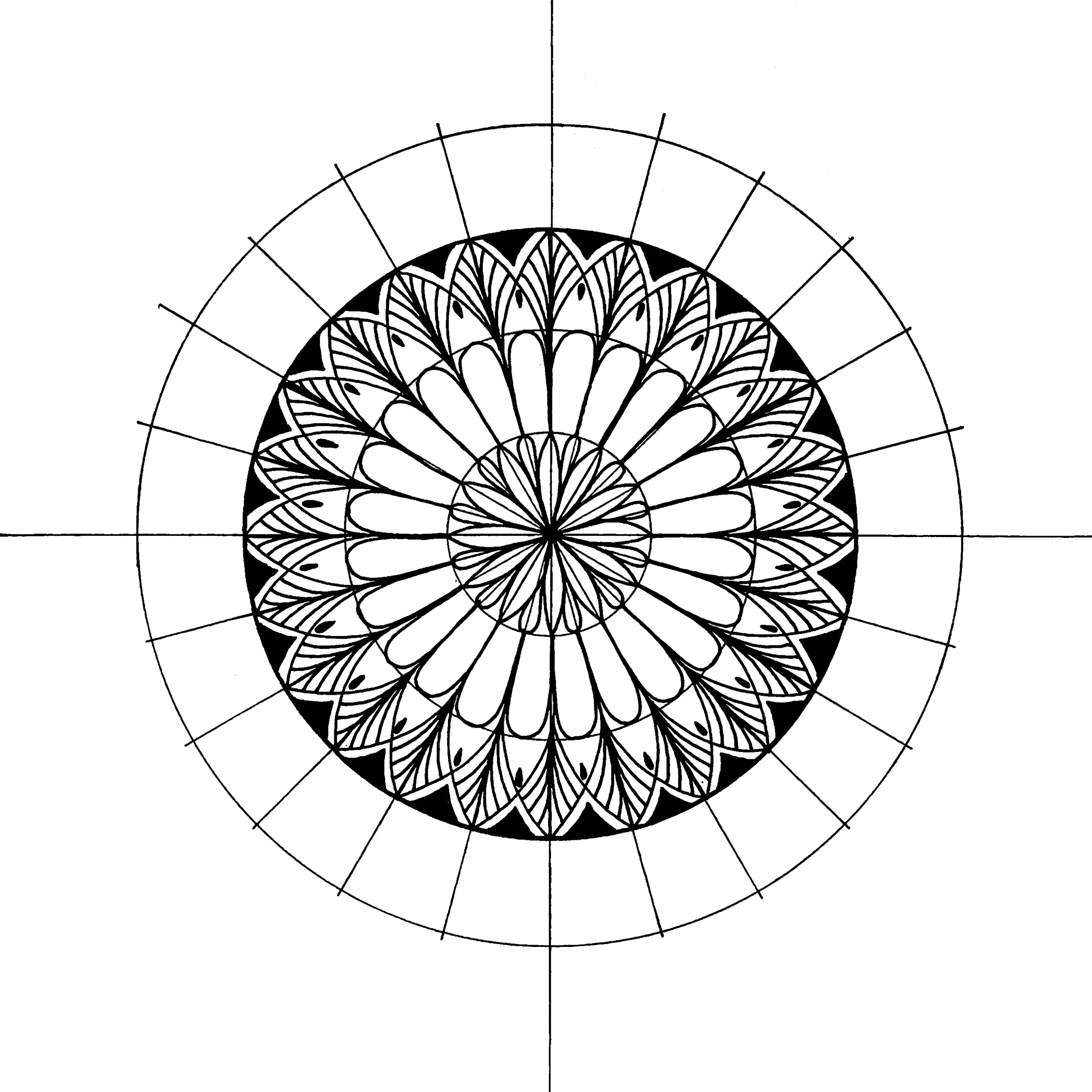 Mandala drawing featuring intricate floral and leaf patterns enclosed in a bold black circular border, created on a geometric grid.
