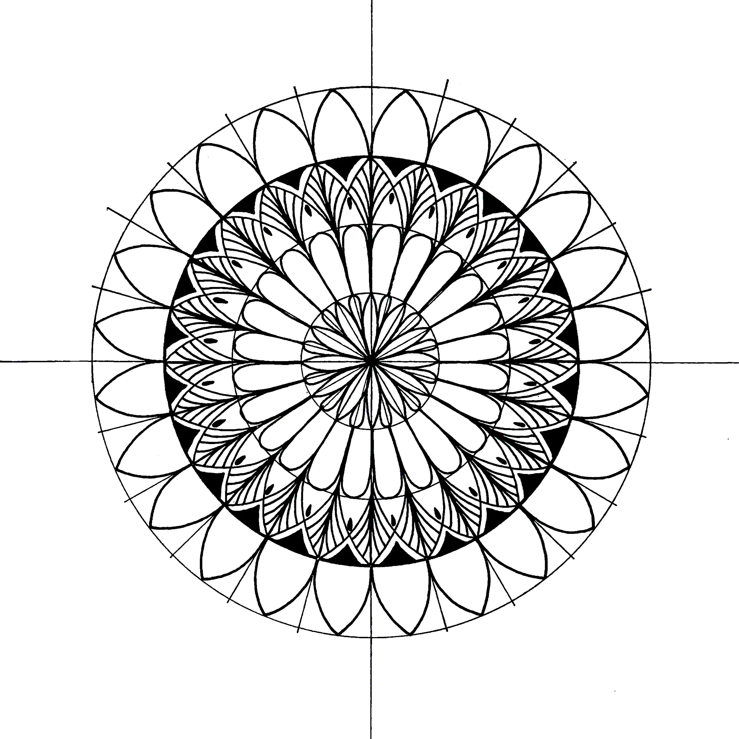 Black and white mandala drawing with detailed inner patterns and a new outer layer of large petal shapes.