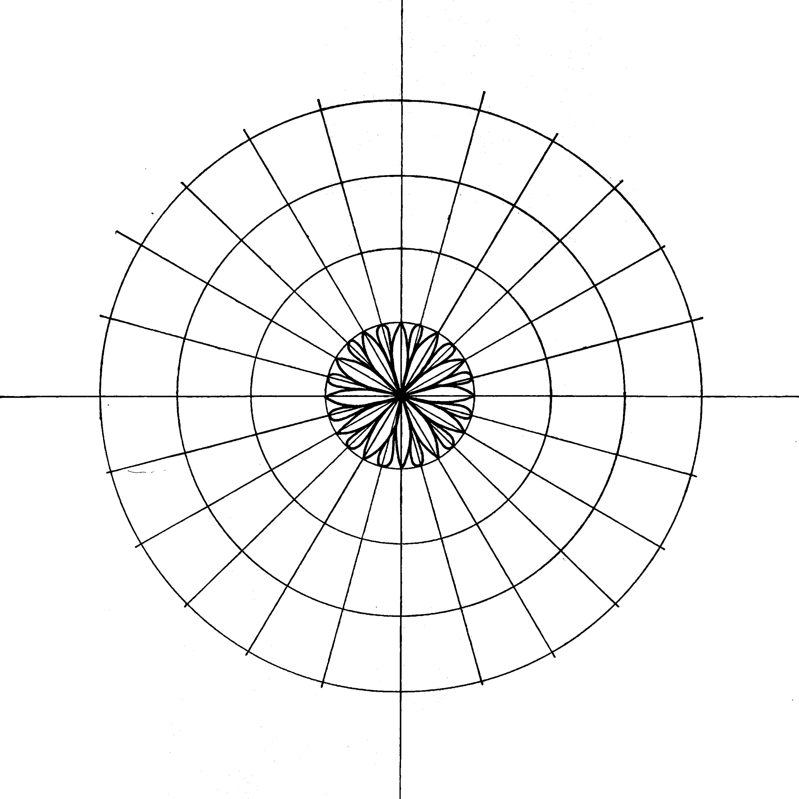 Mandala grid with concentric circles and 24 radial divisions, featuring a detailed petal design in the center, on a white background.